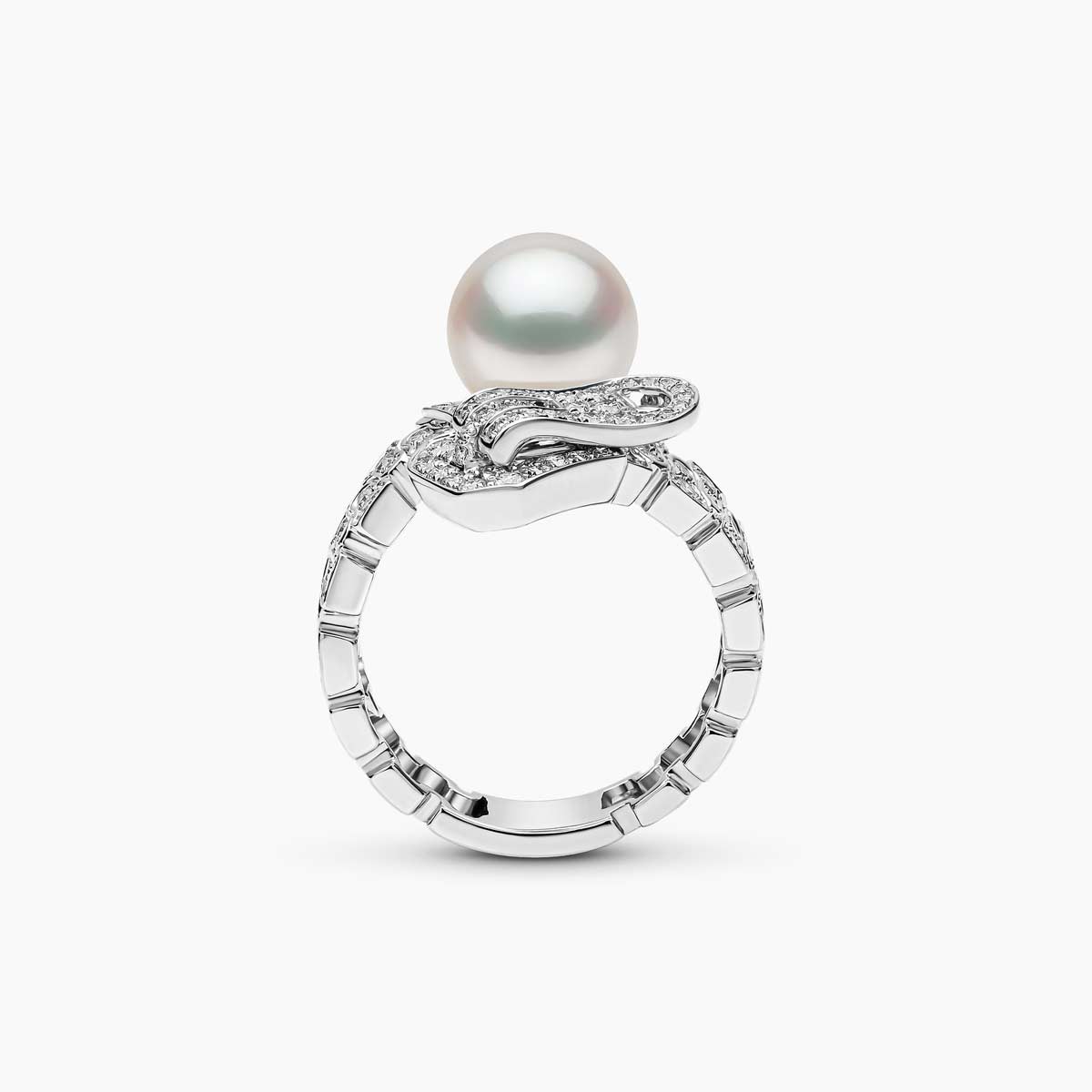 White Gold / White Australian South Sea