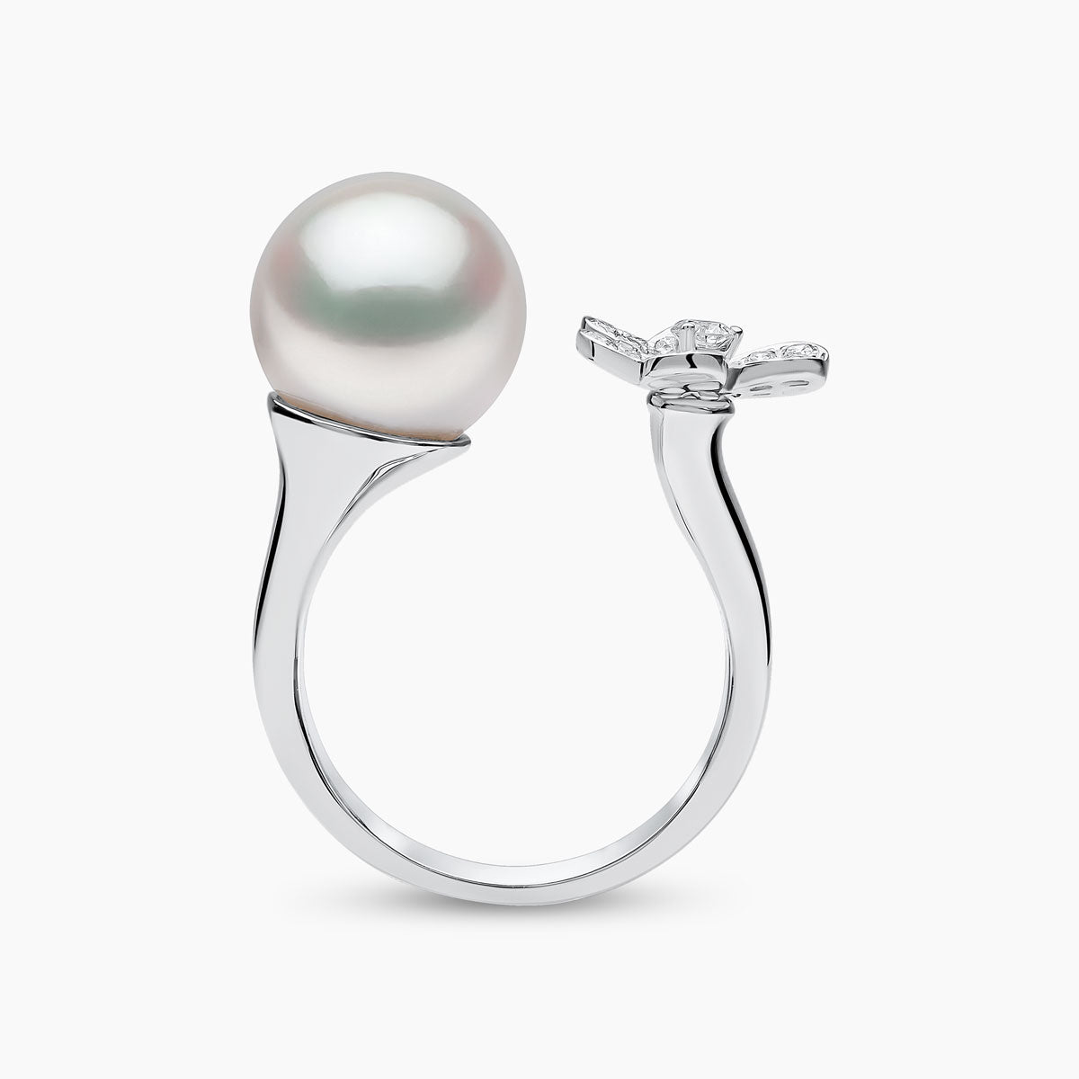 White Gold / White Australian South Sea / N