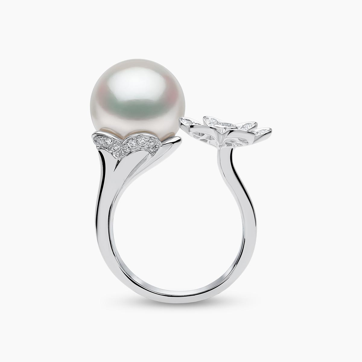 White Gold / White Australian South Sea / N