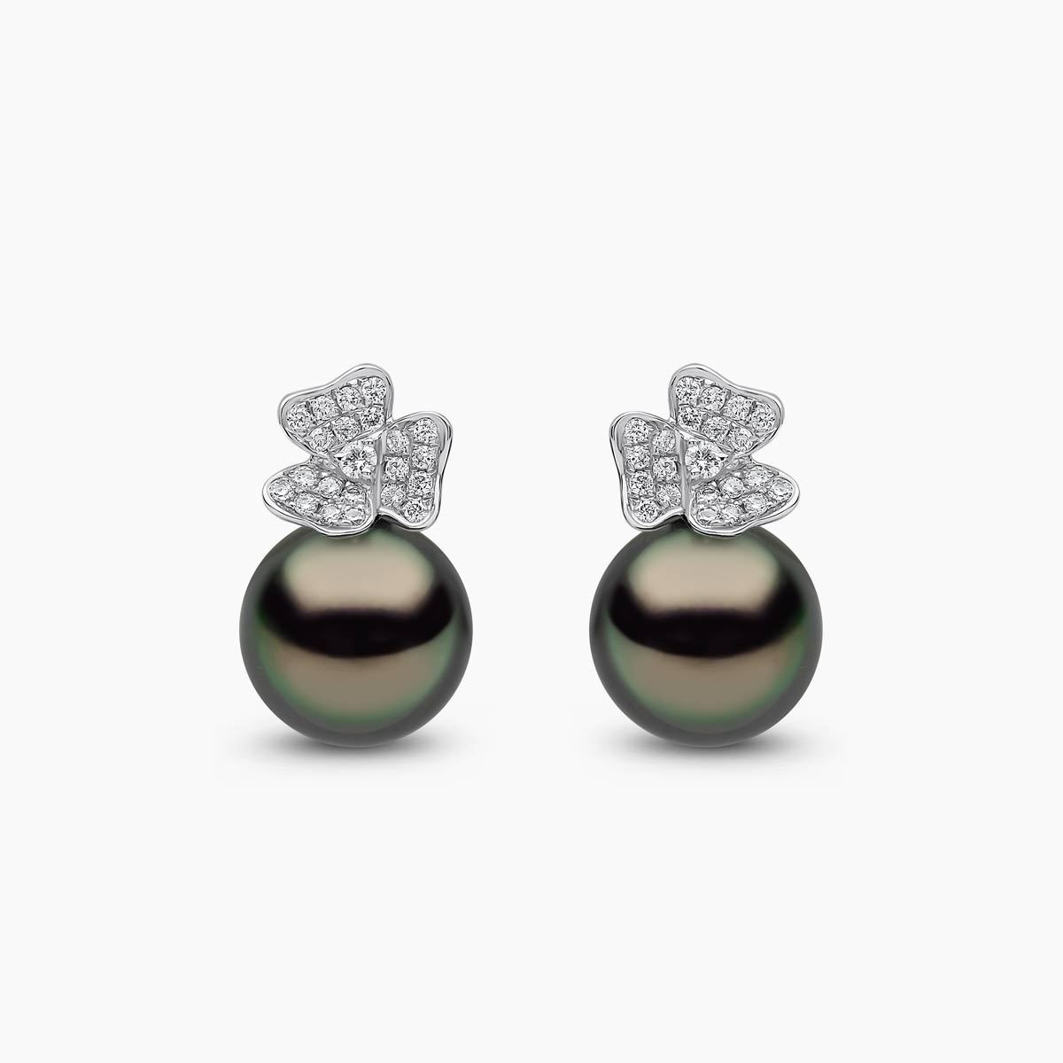 White Gold / Black Tahitian