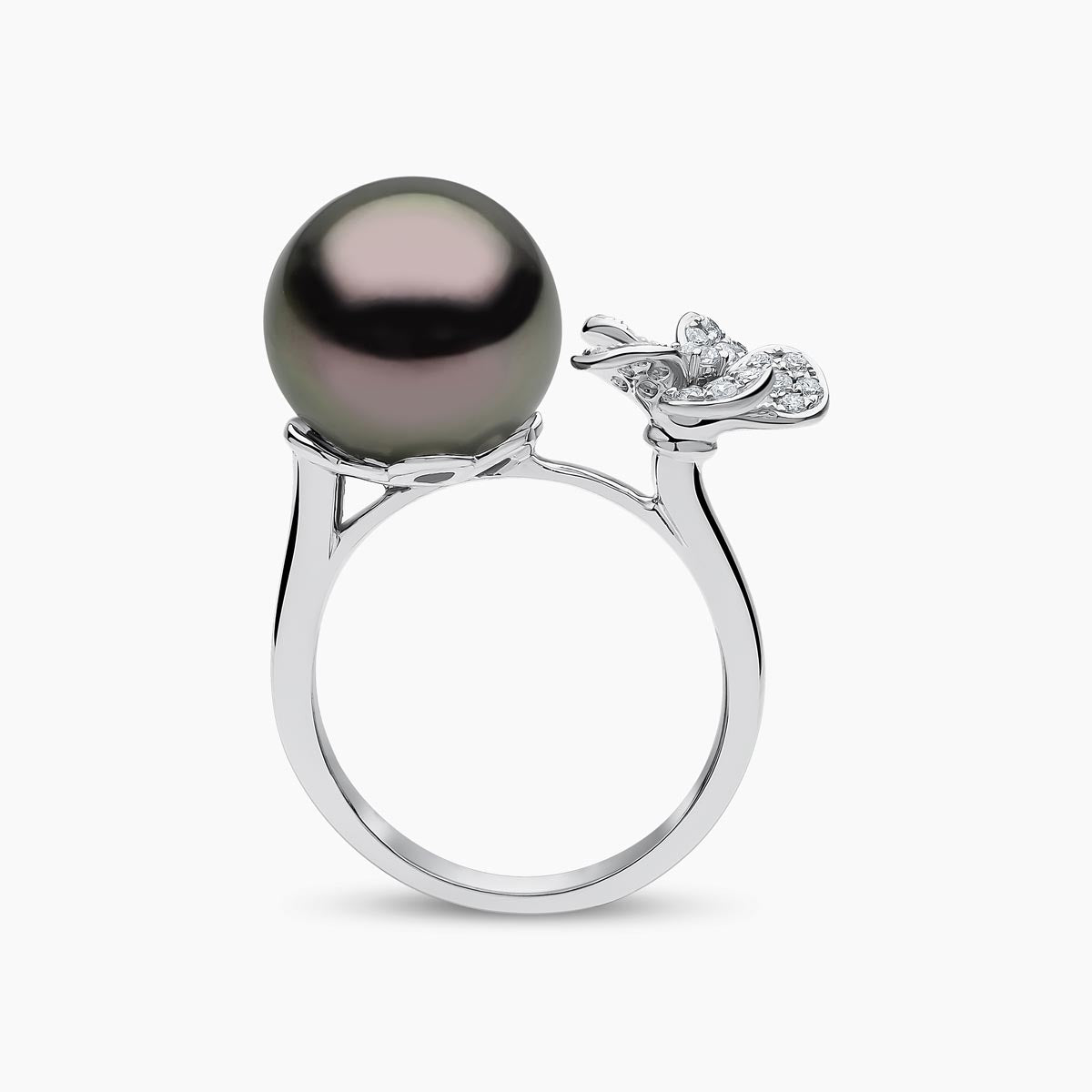 White Gold / Black Tahitian / N