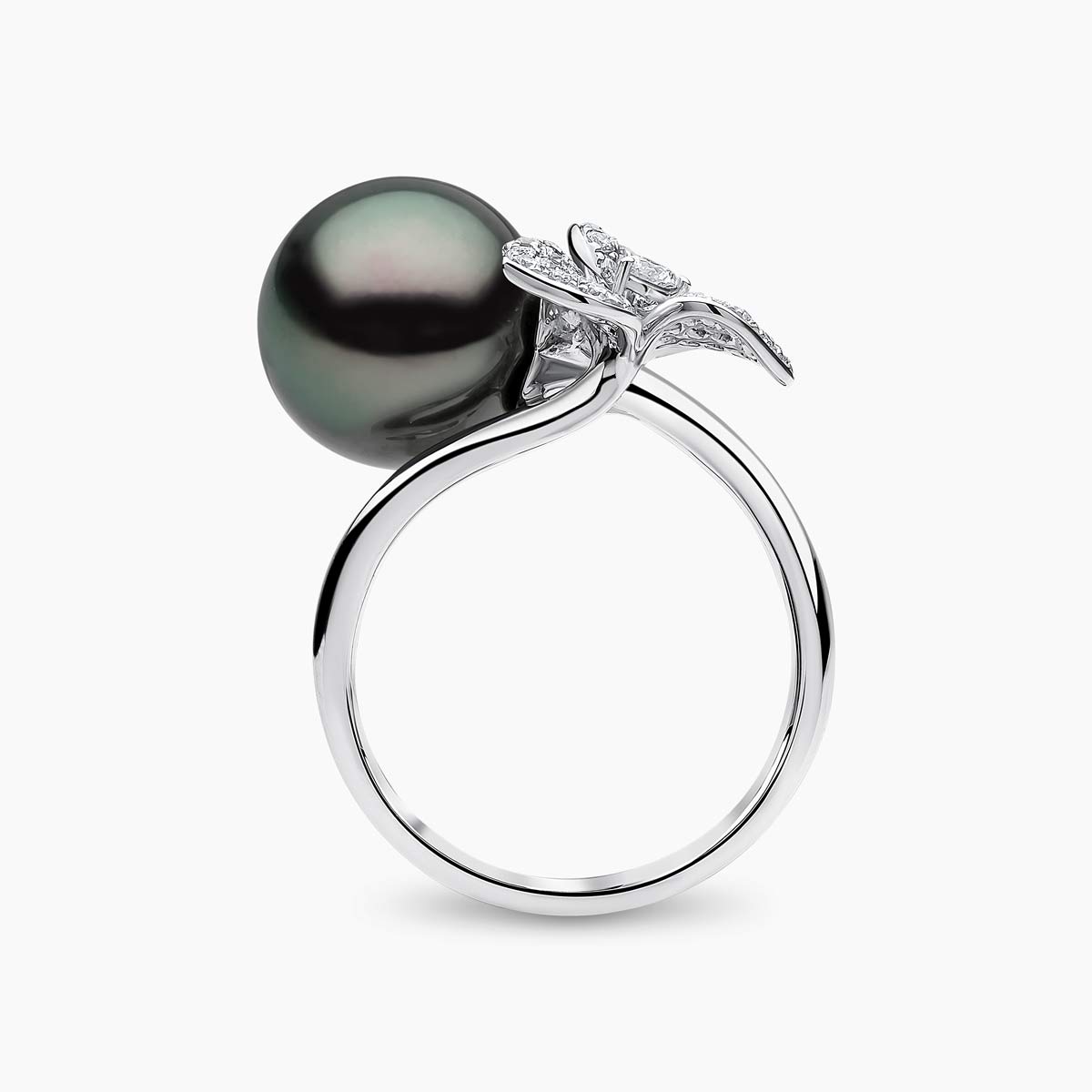 White Gold / Tahitian