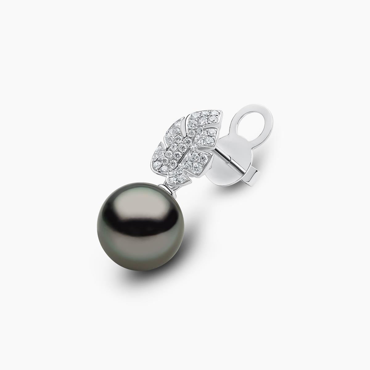 White Gold / Black Tahitian