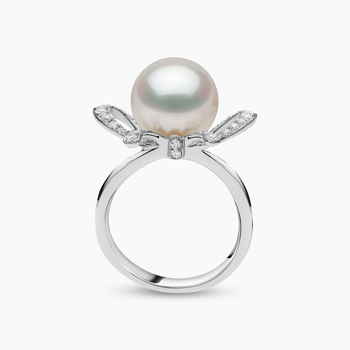 White Gold / White Australian South Sea / N