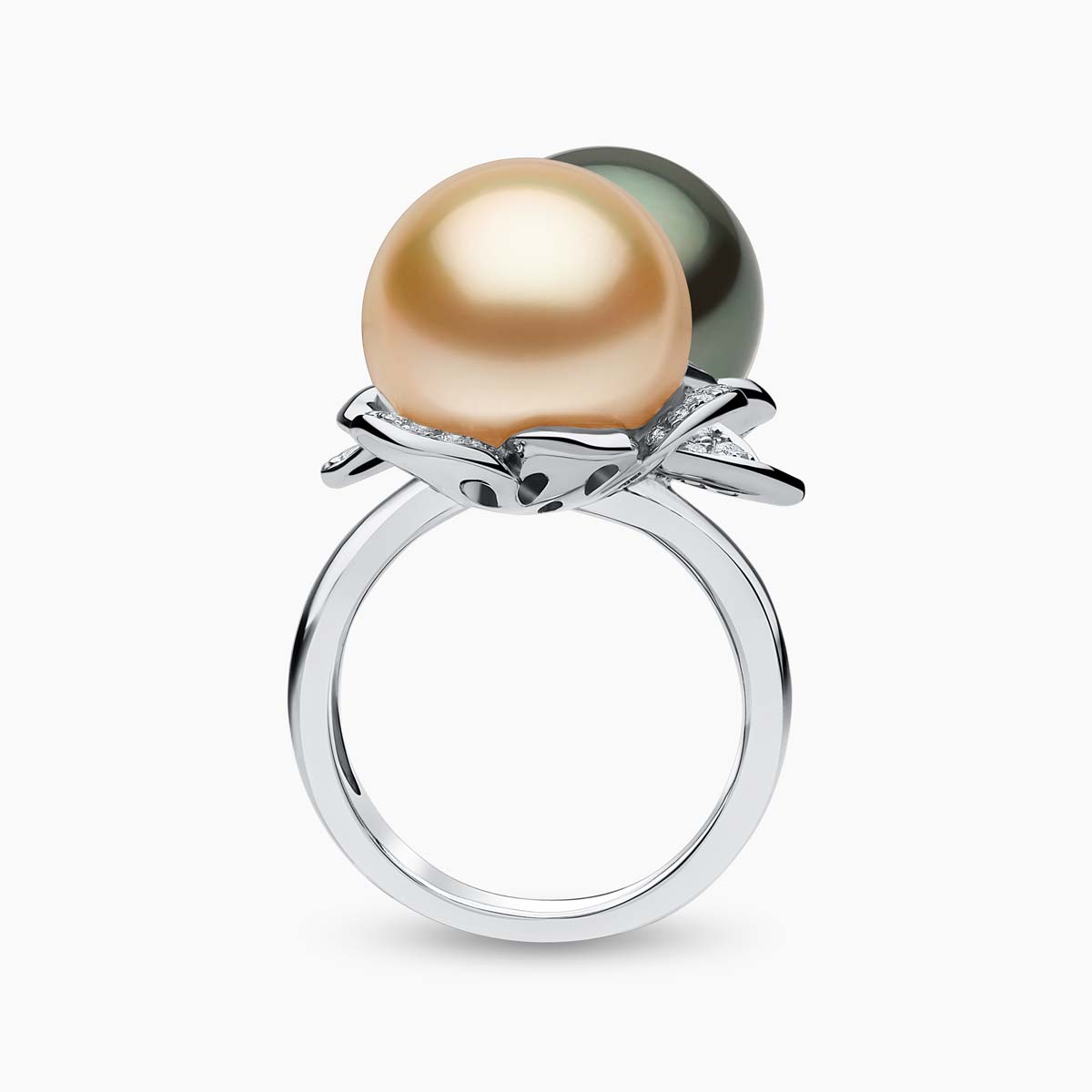 White Gold / Golden Indonesian South Sea / N
