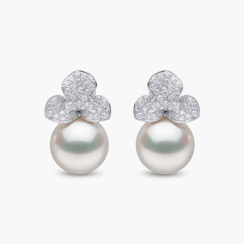 White Gold / White Australian South Sea