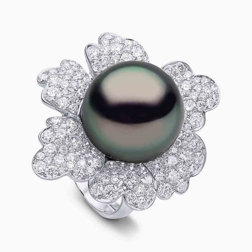 White Gold / Black Tahitian