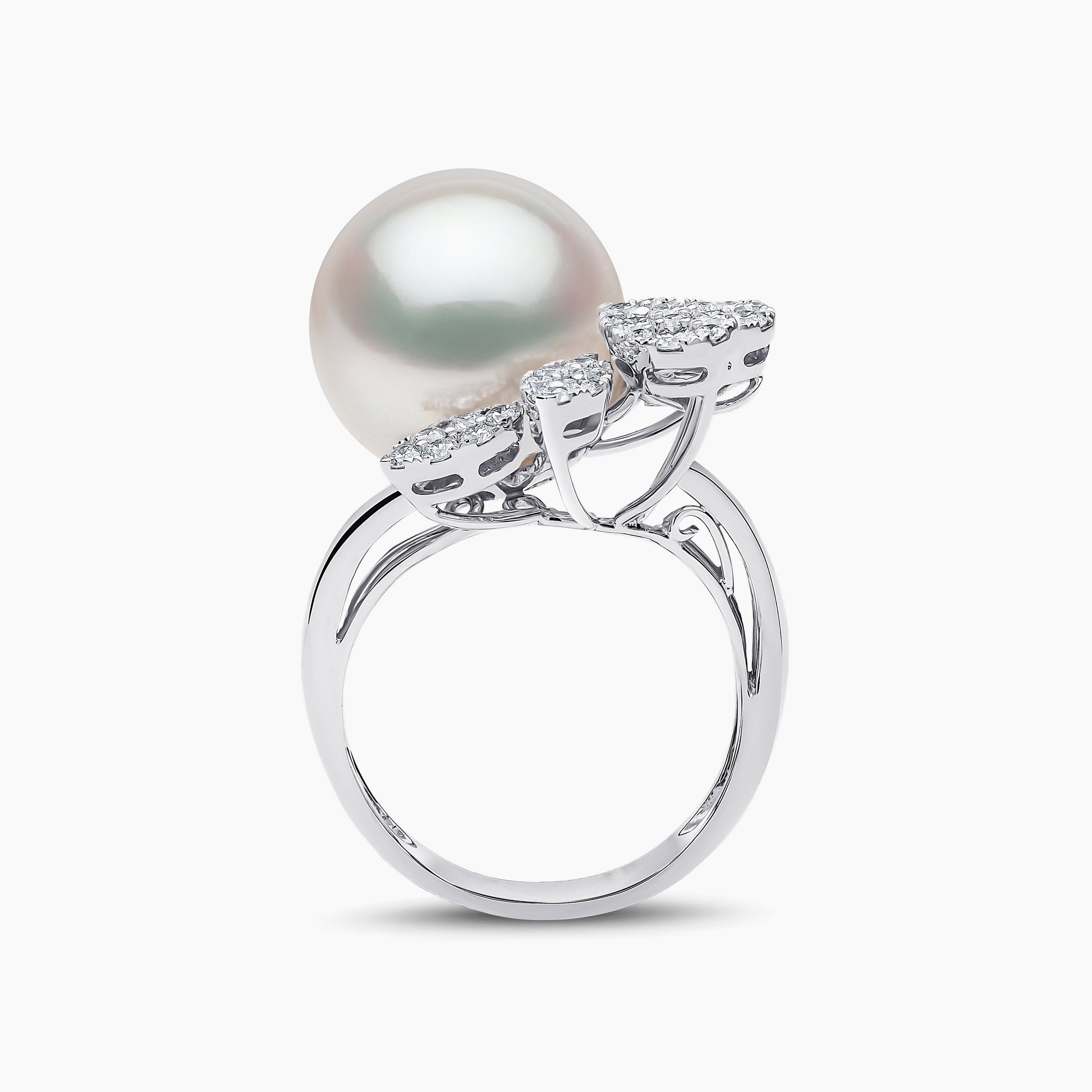 White Australian South Sea / White Gold