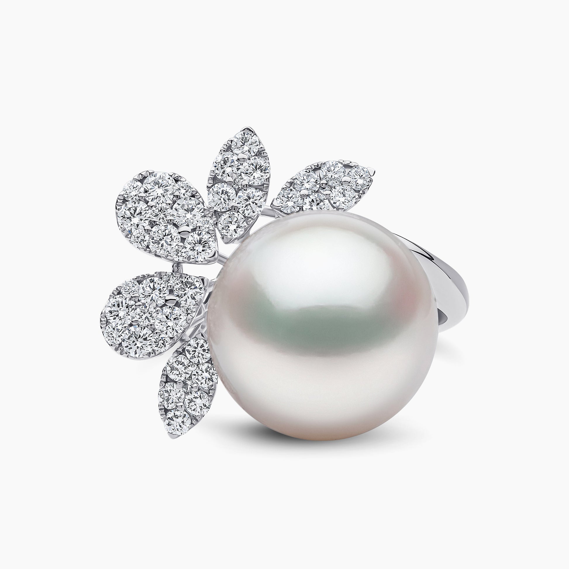 White Australian South Sea / White Gold