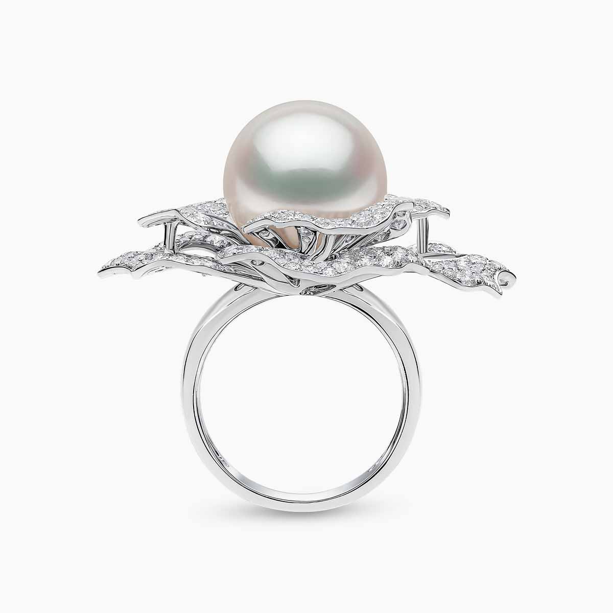 White Gold / White Australian South Sea / N