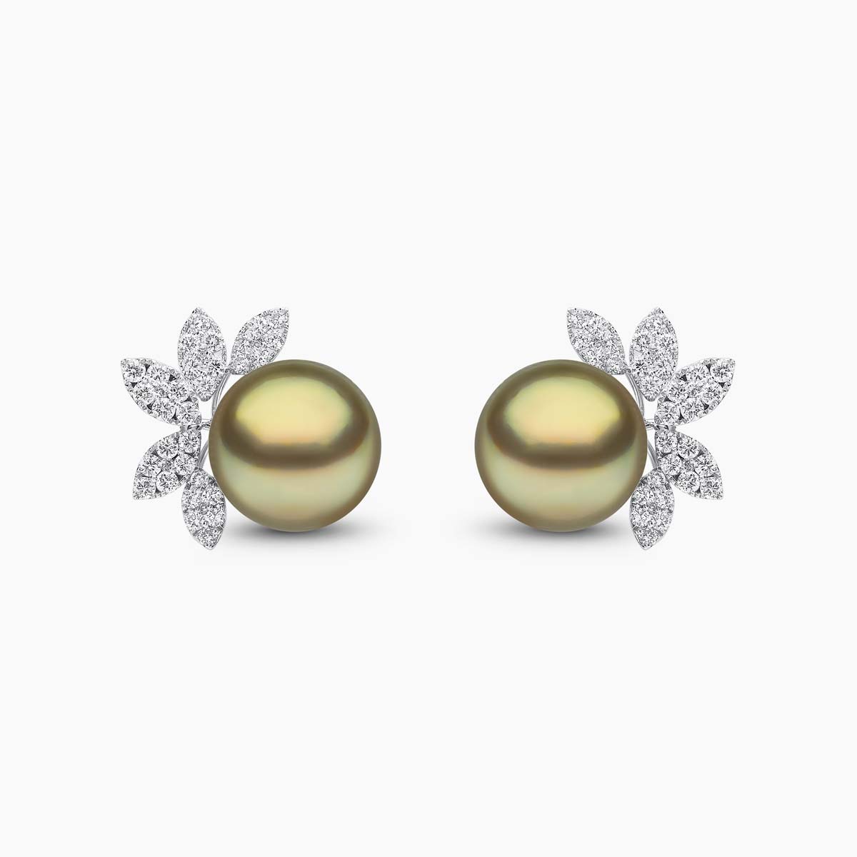 White Gold / Pistachio Tahitian