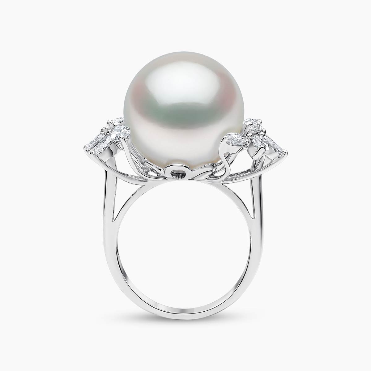 White Gold / White Australian South Sea