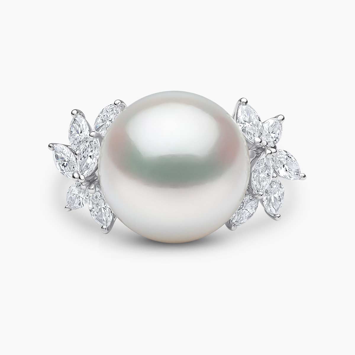 White Gold / White Australian South Sea