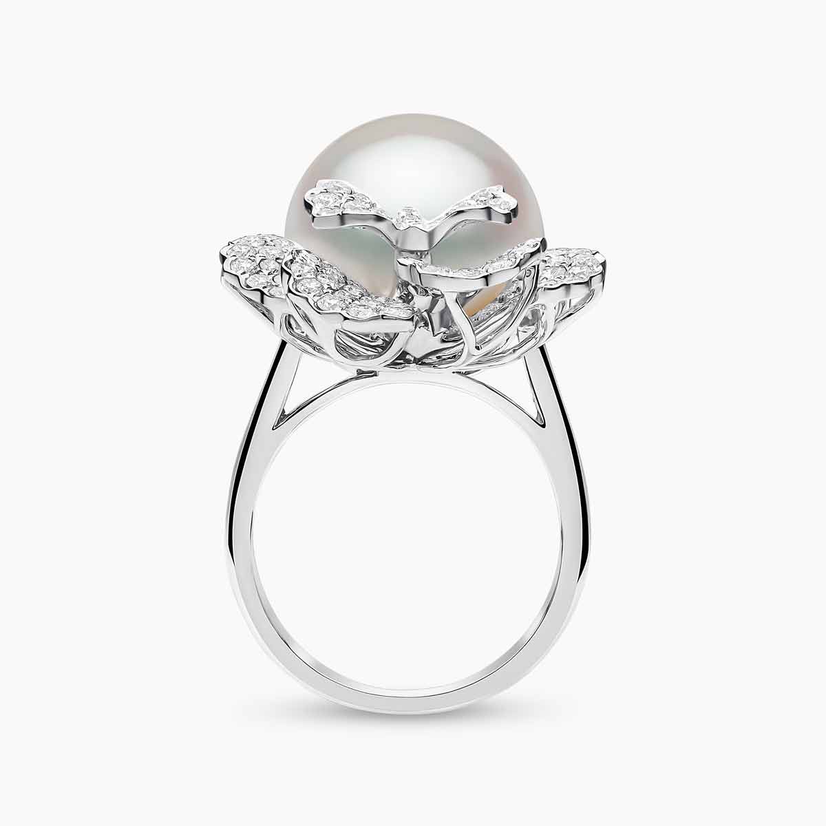 White Gold / White Australian South Sea / N