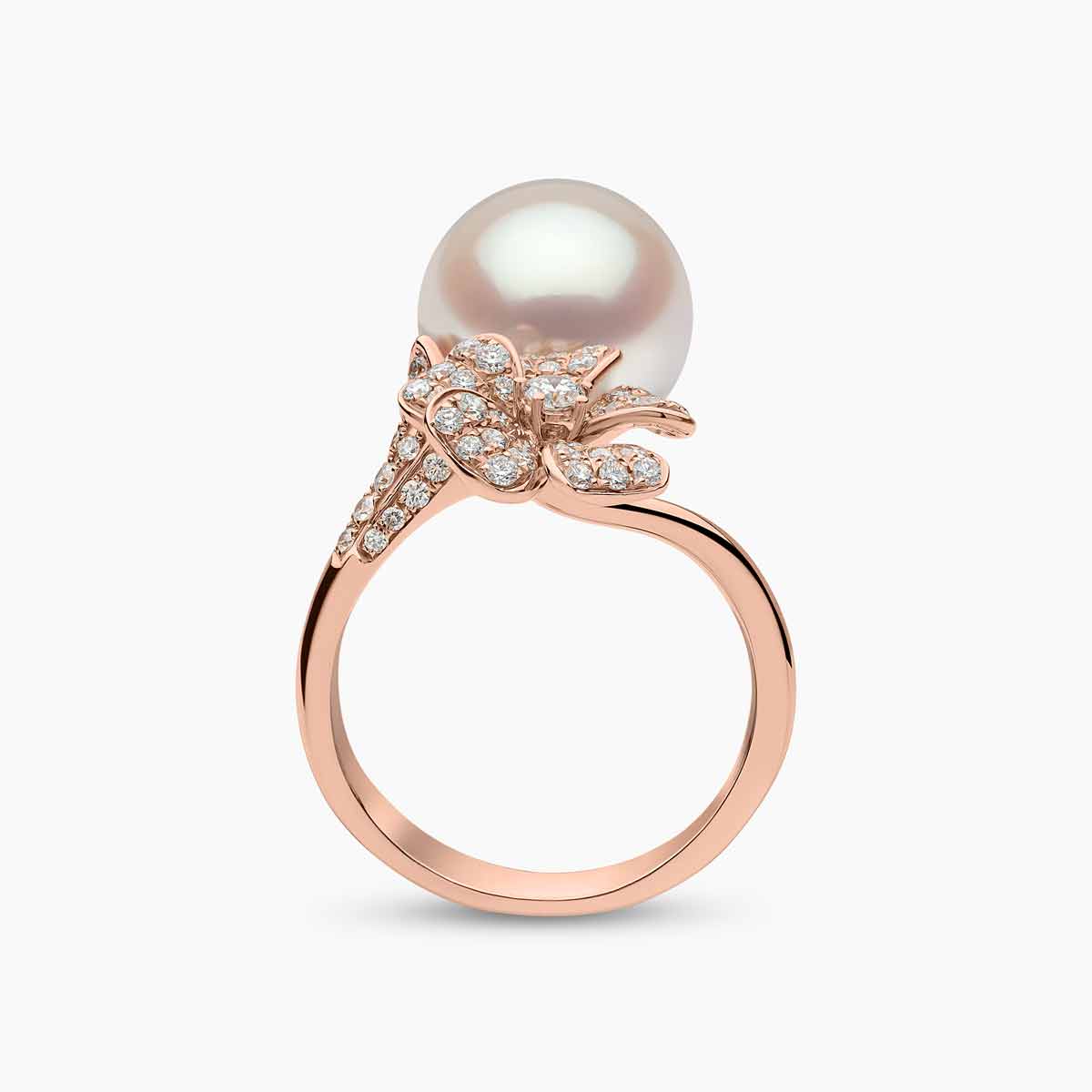 Rose Gold / White Australian South Sea / N