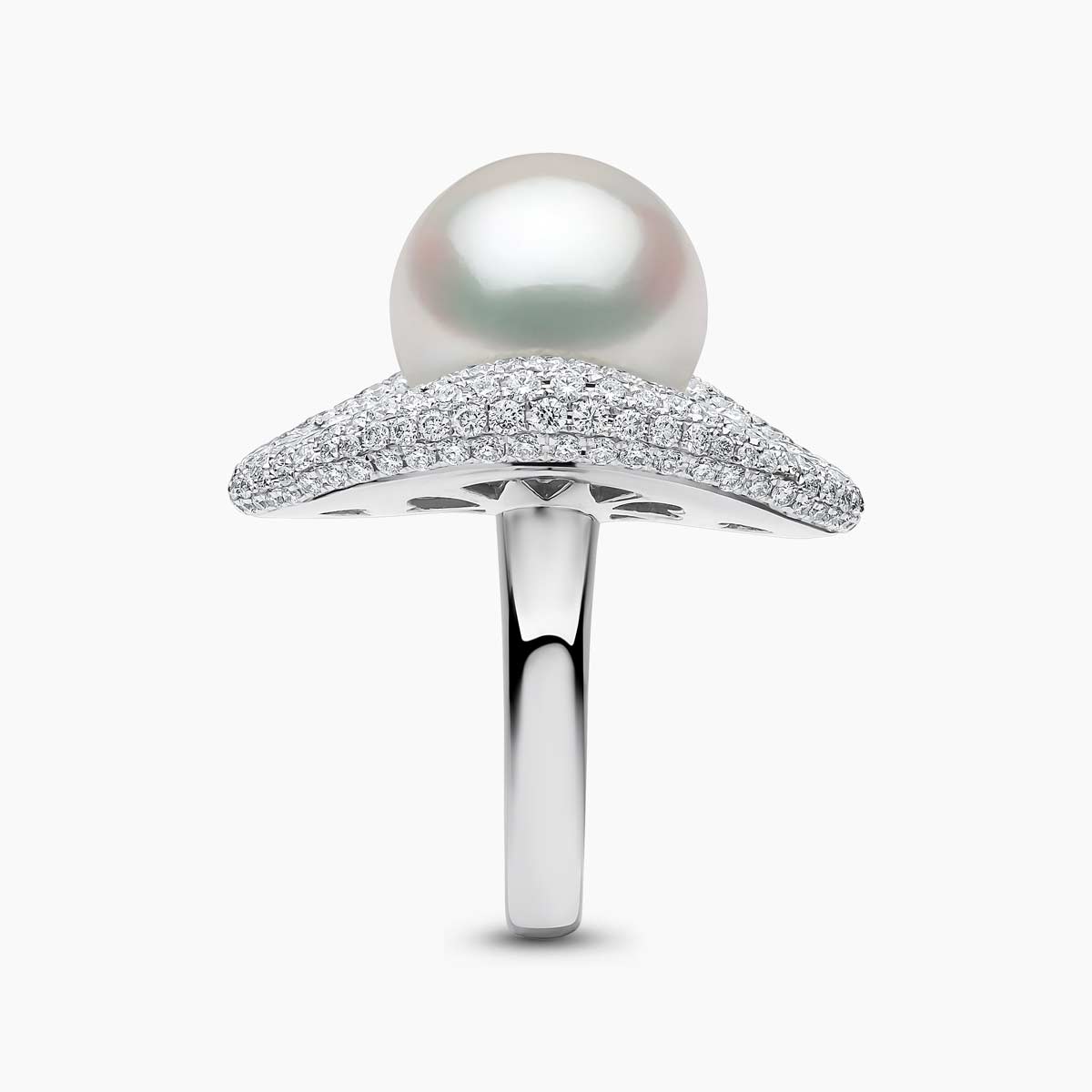 White Australian South Sea / White Gold