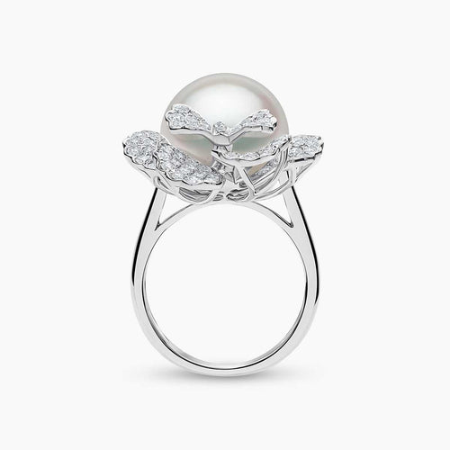 White Gold / White Australian South Sea / N