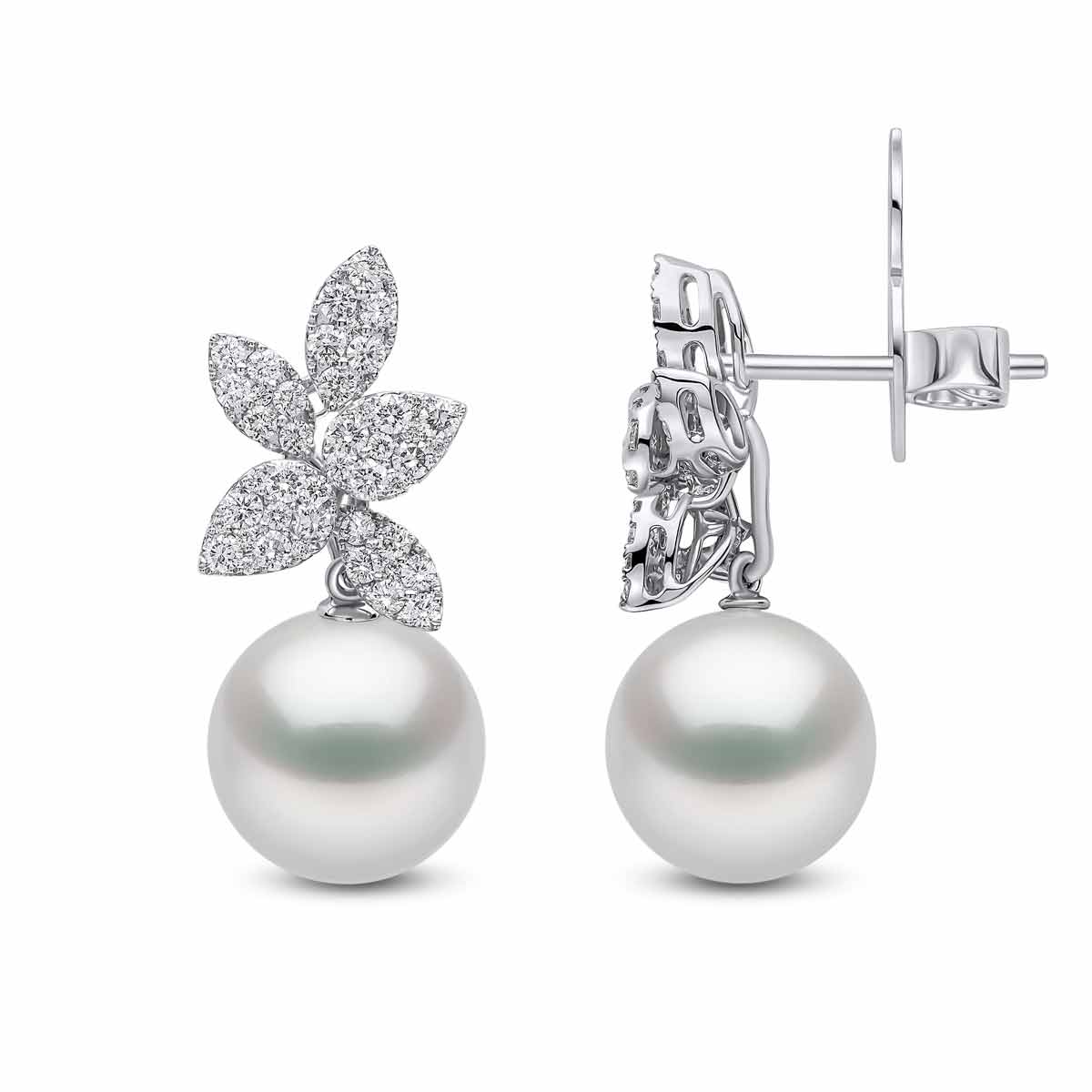 White Gold / White Australian South Sea