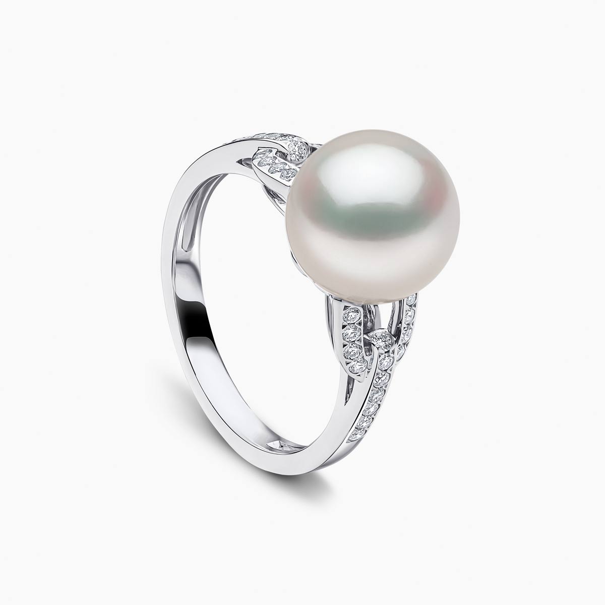 White Gold / White Australian South Sea / N