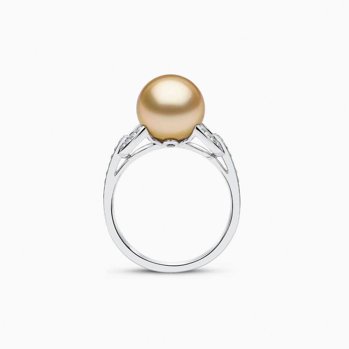 White Gold / Golden Indonesian South Sea / N