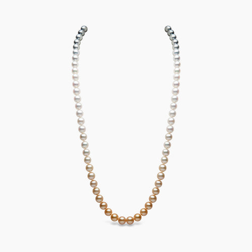 White Gold / Golden Indonesian South Sea