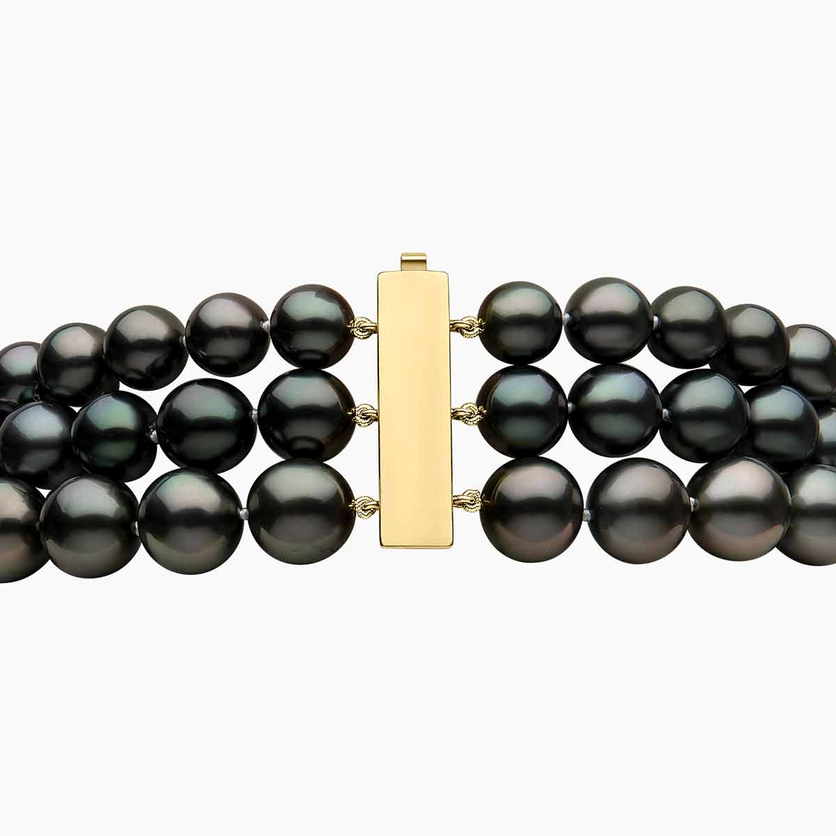 Yellow Gold / Golden Indonesian South Sea