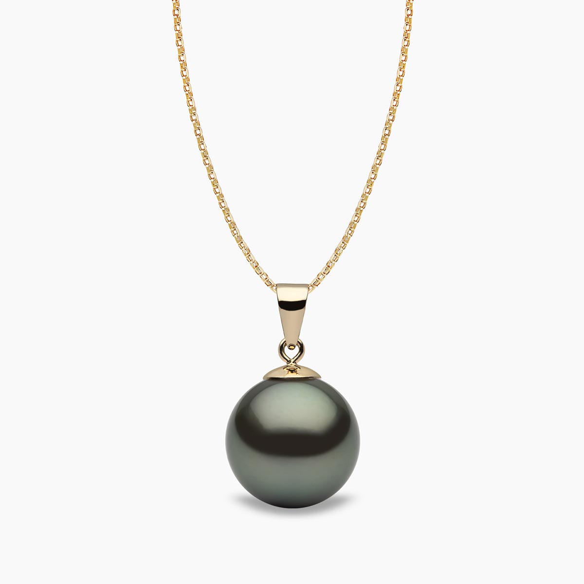 Yellow Gold / Black Tahitian / 11mm
