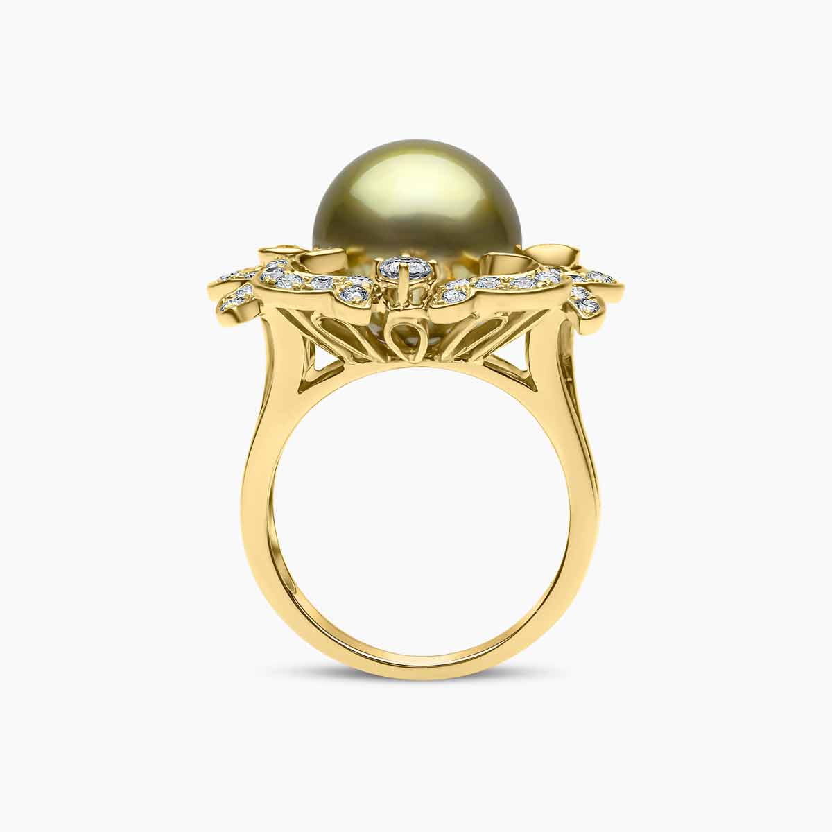 Yellow Gold / Pistachio Tahitian