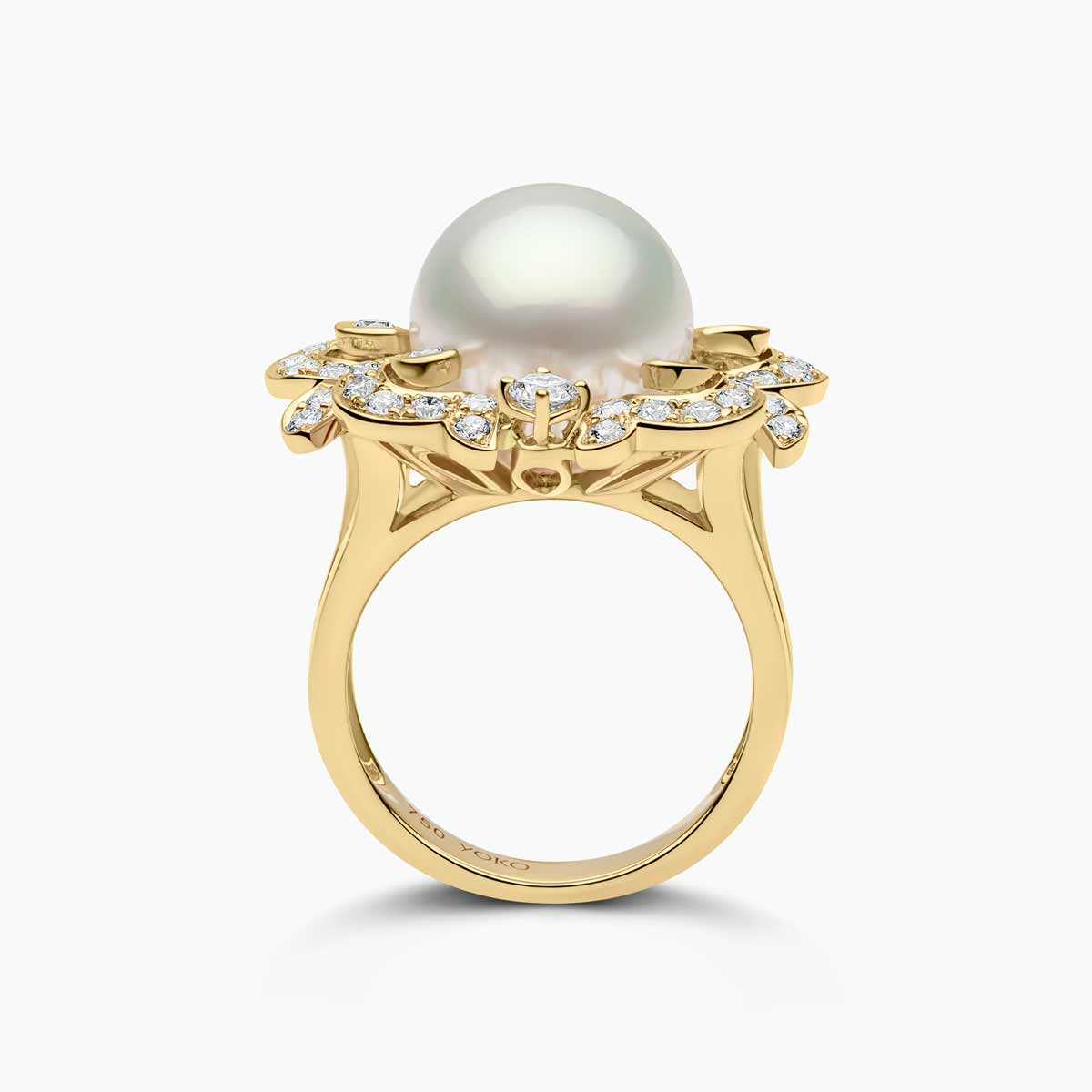 Yellow Gold / White Australian South Sea