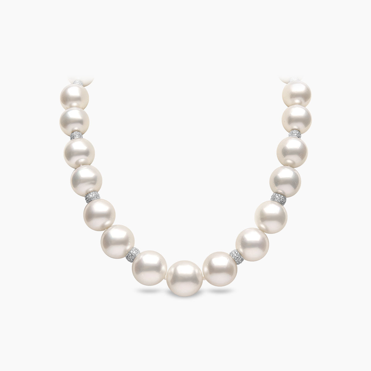 White Gold / White Australian South Sea