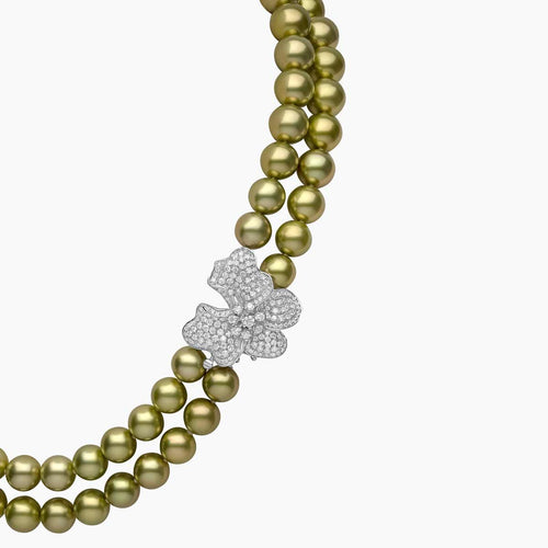 White Gold / Tahitian