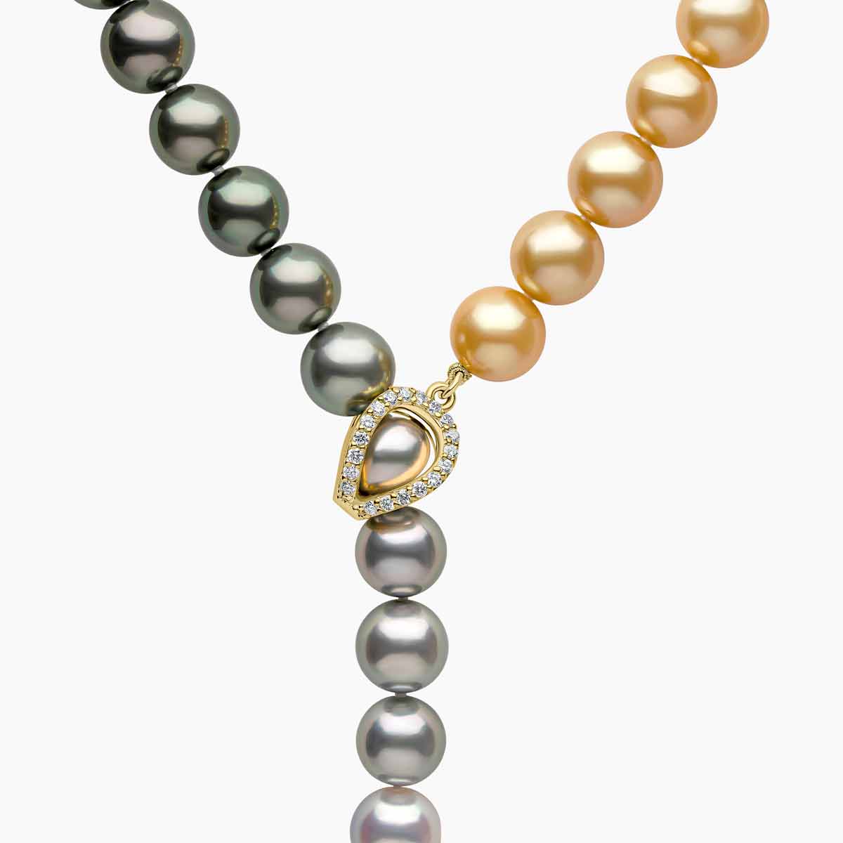 Yellow Gold / Golden Indonesian South Sea