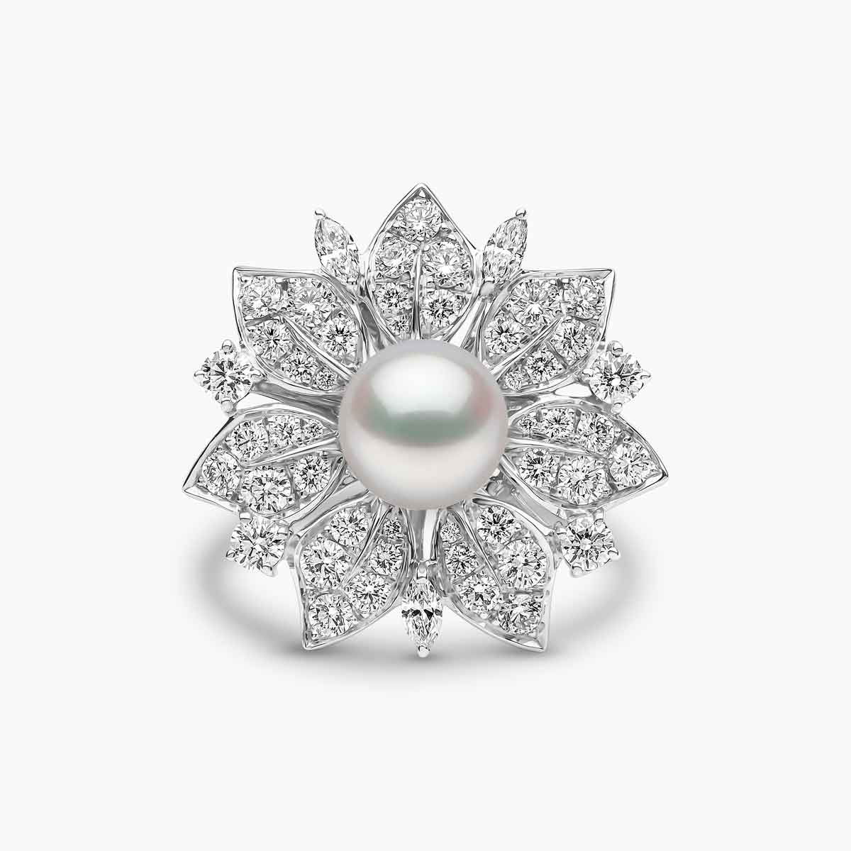 White Gold / White Freshwater / N