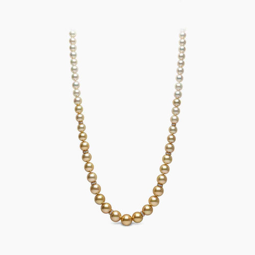 Yellow Gold / Golden Indonesian South Sea