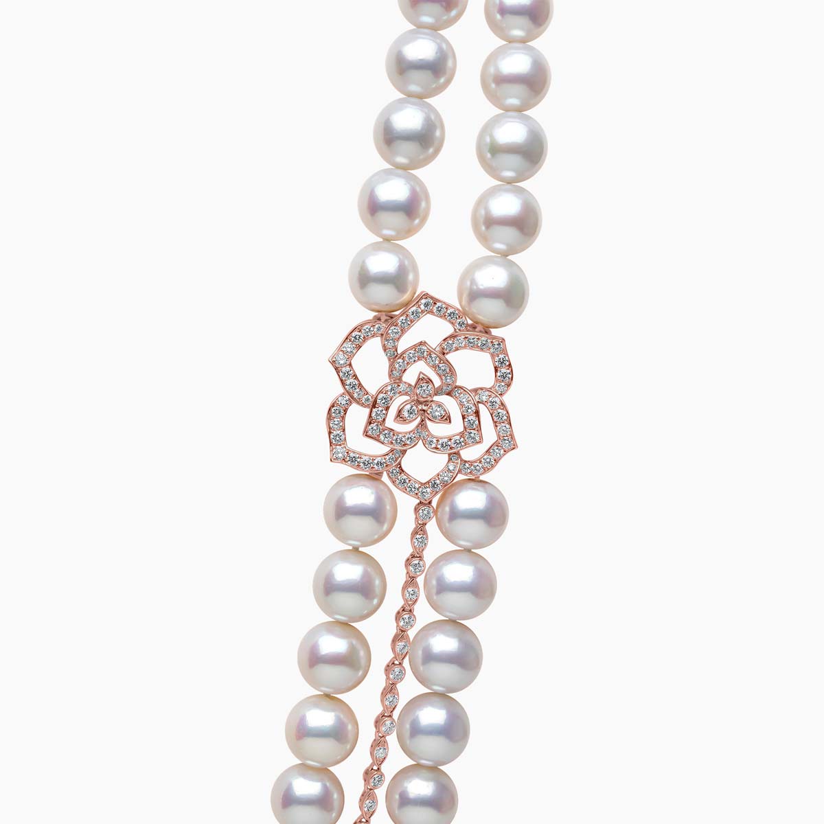 Rose Gold / White Freshwater
