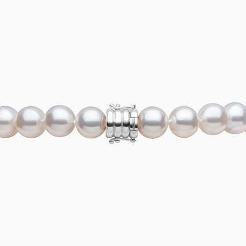 White Gold / White Australian South Sea