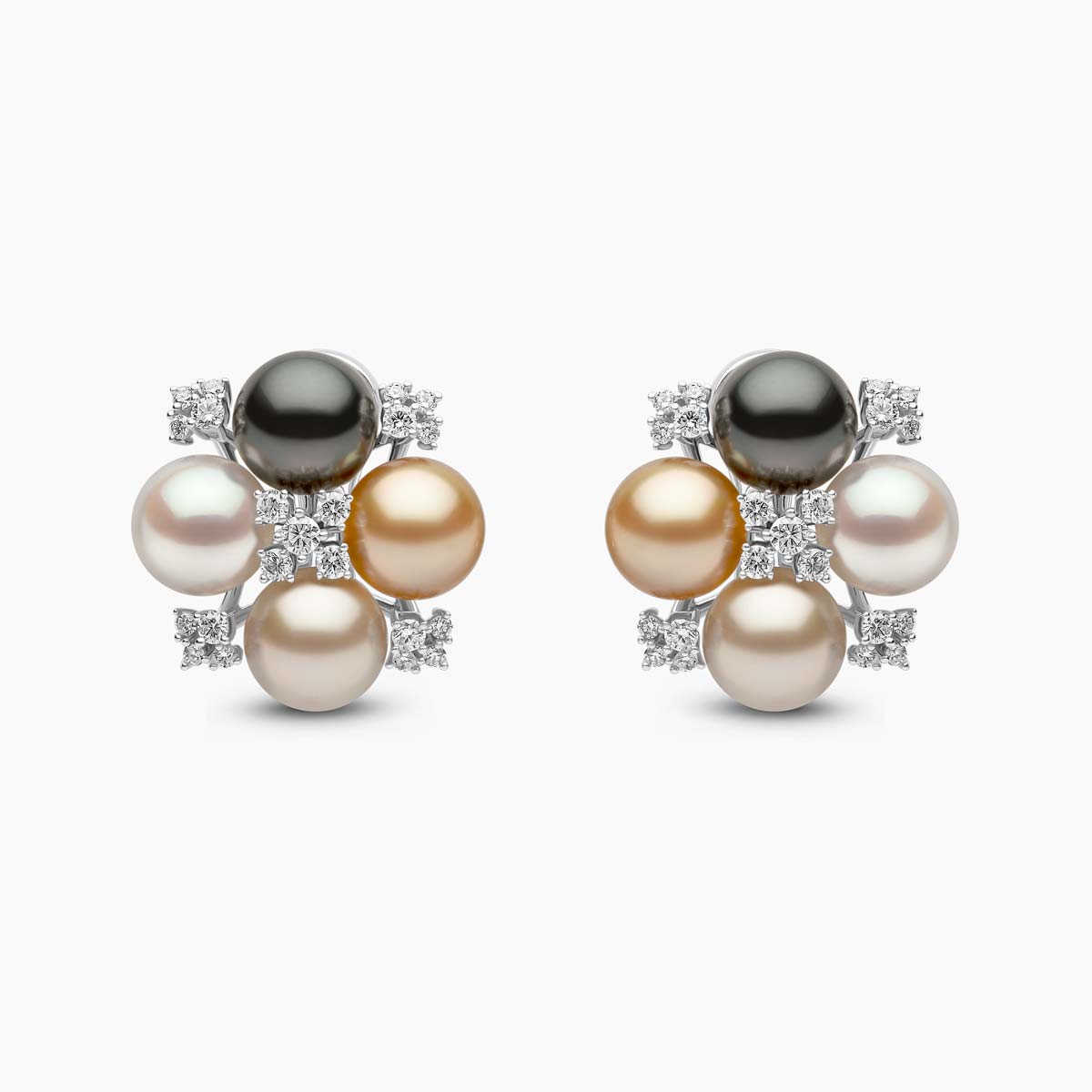 White Gold / White Australian South Sea