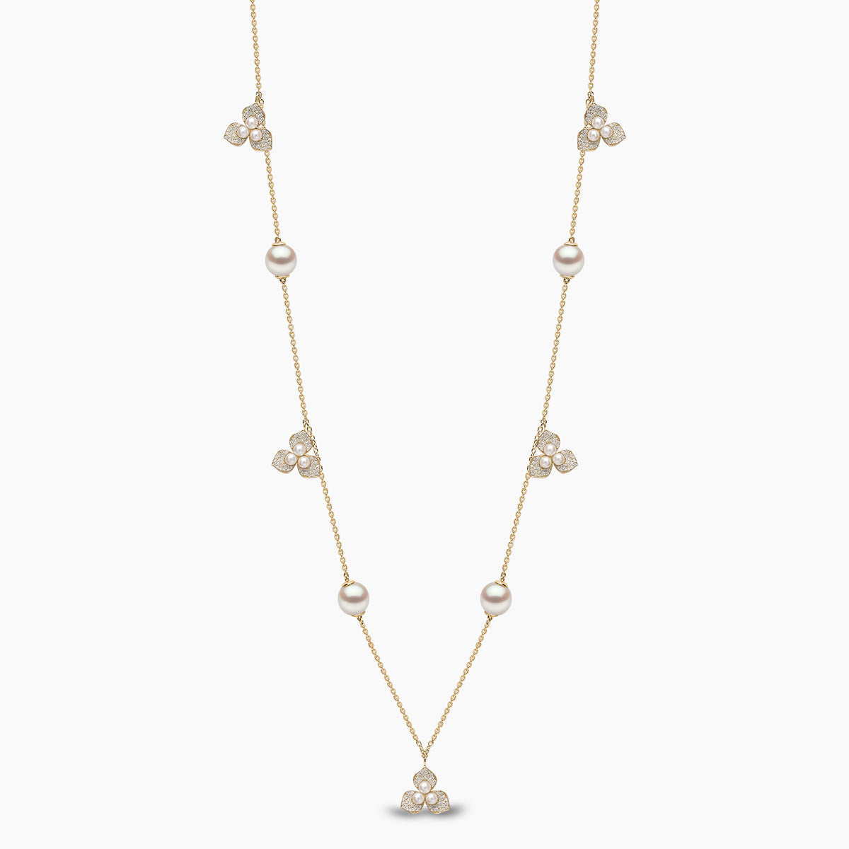 Yellow Gold /  White Japanese Akoya