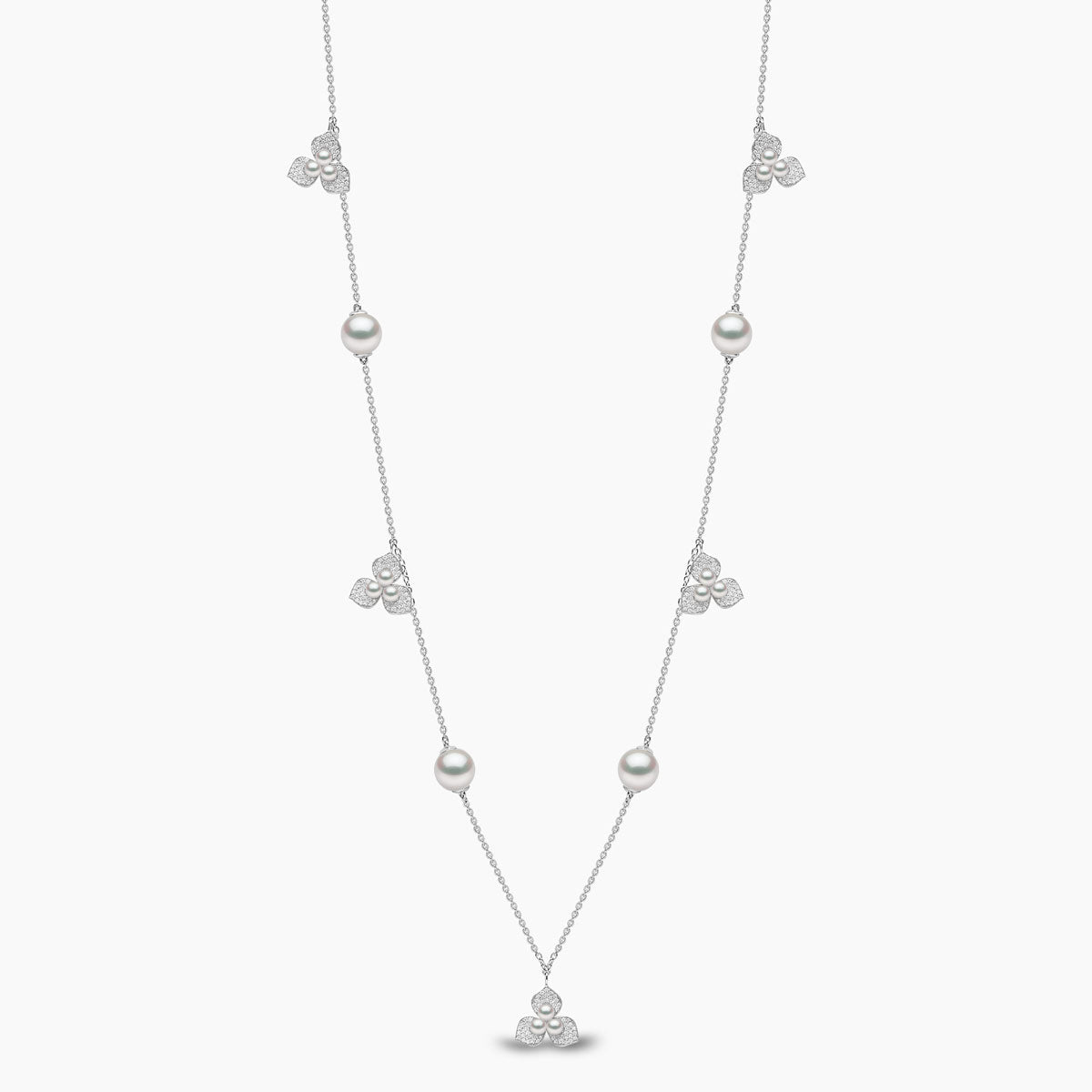 White Gold / White Japanese Akoya