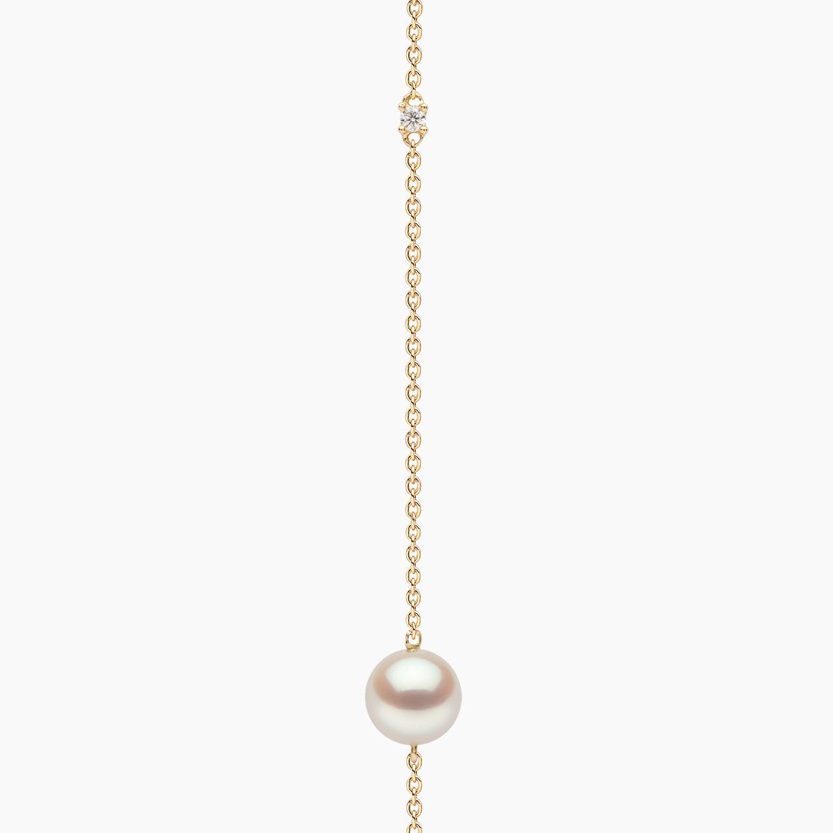 Yellow Gold / White Japanese Akoya