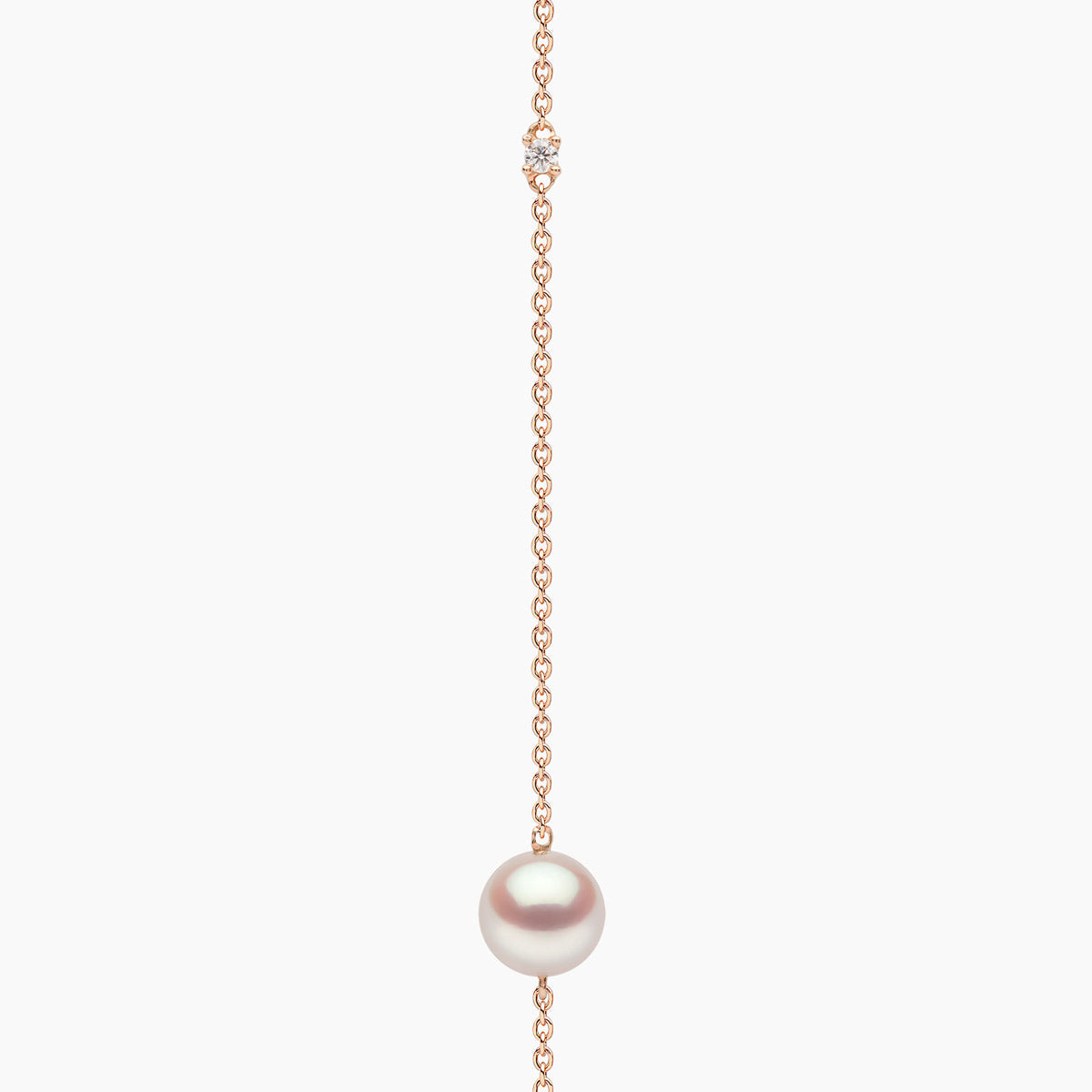 Rose Gold / White Japanese Akoya