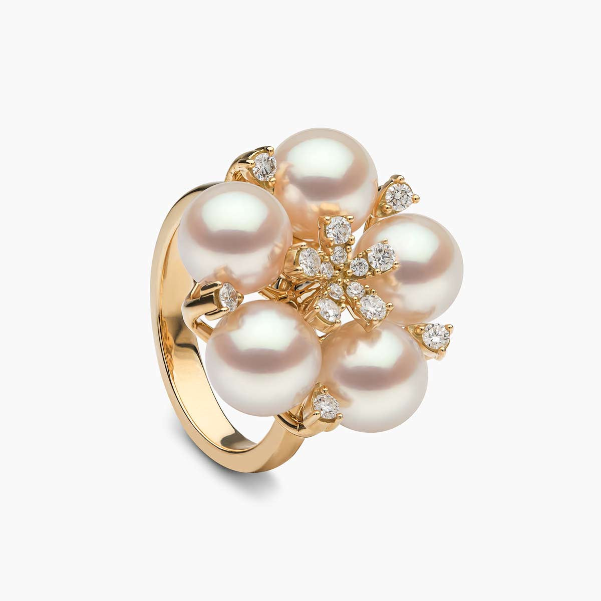 Yellow Gold / White Japanese Akoya