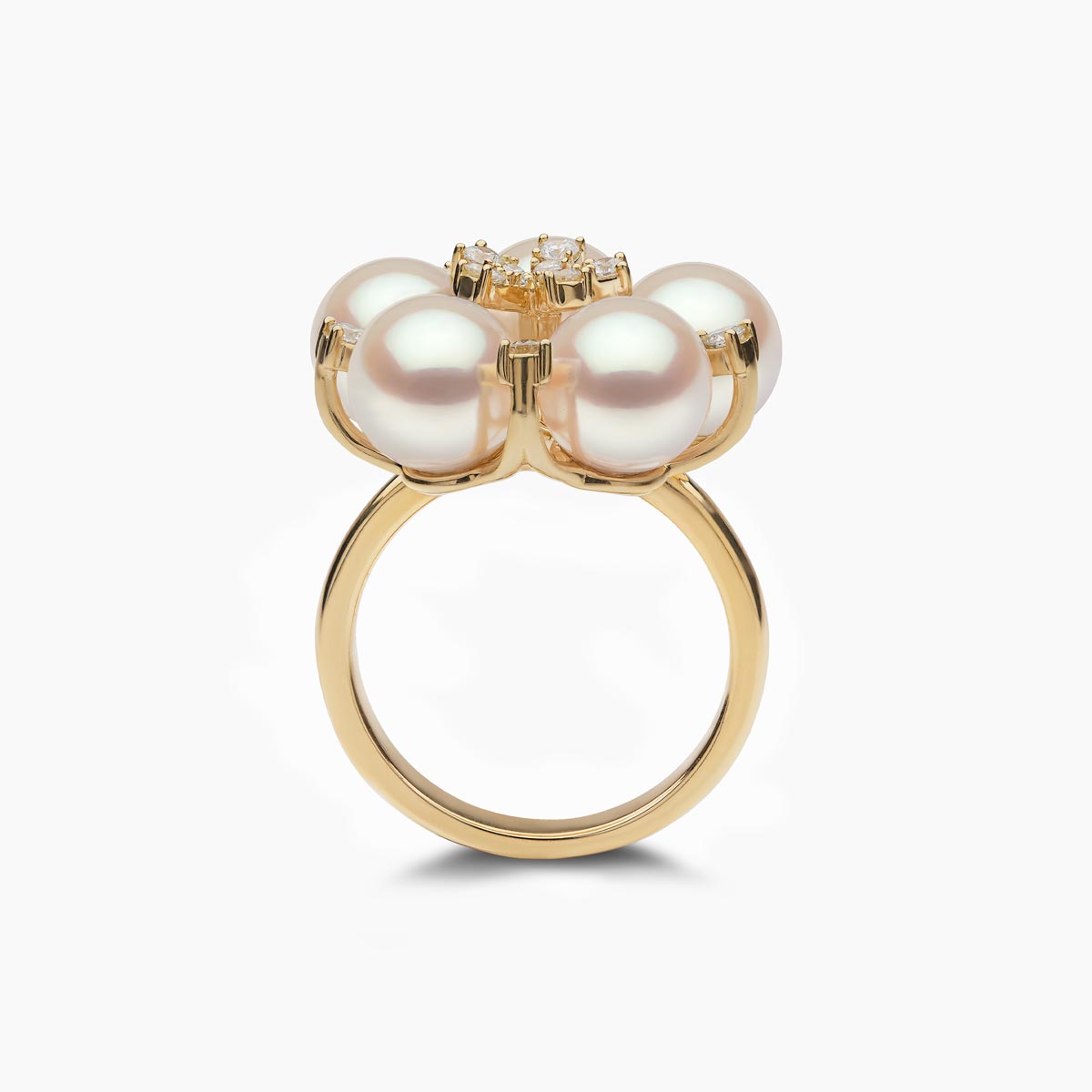 Yellow Gold / White Japanese Akoya