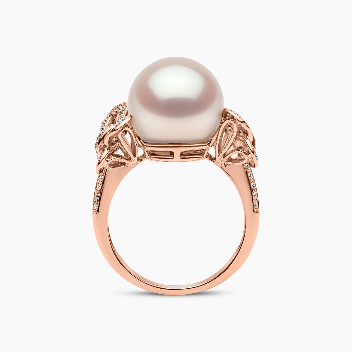 Rose Gold / White Australian South Sea