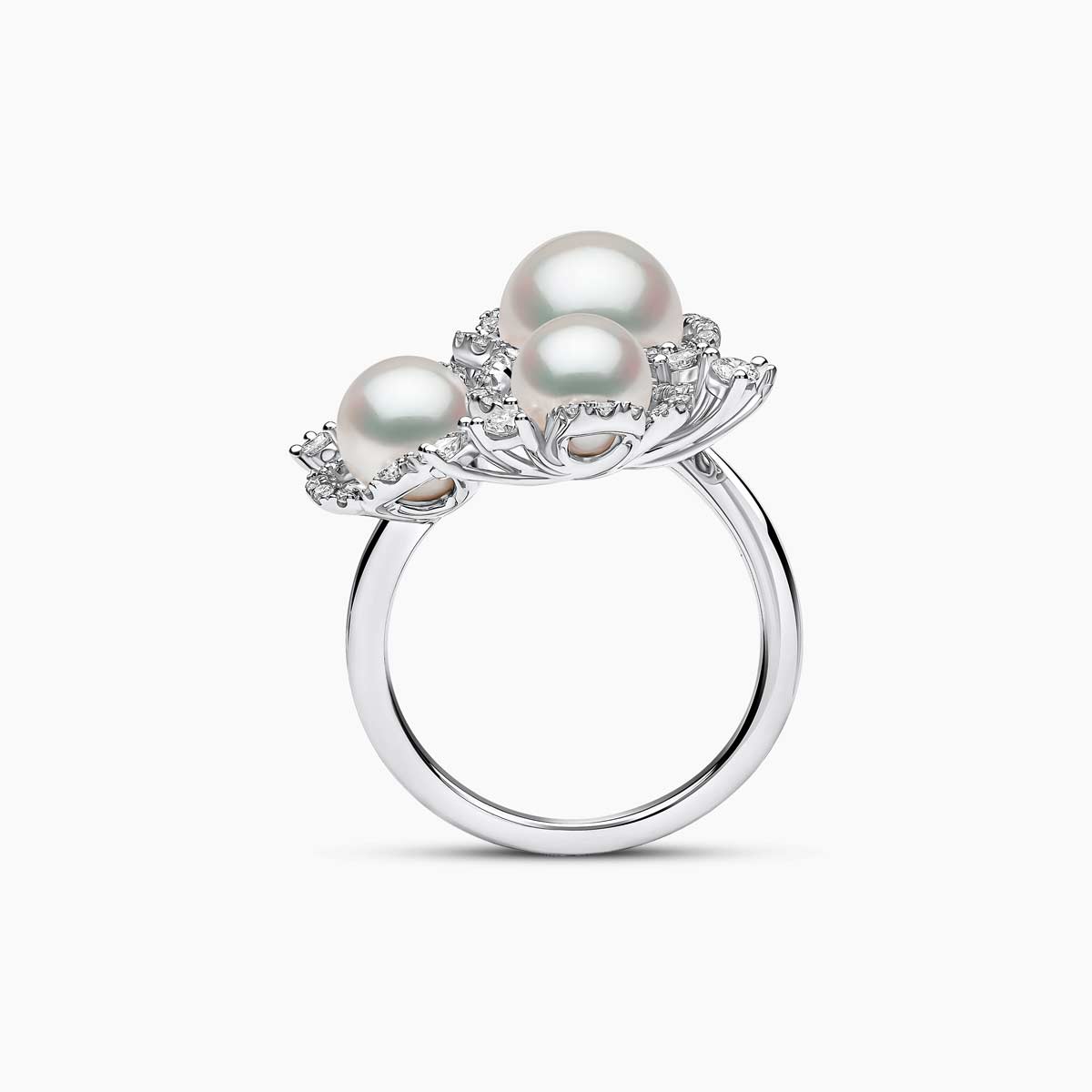 White Gold / White Japanese Akoya 