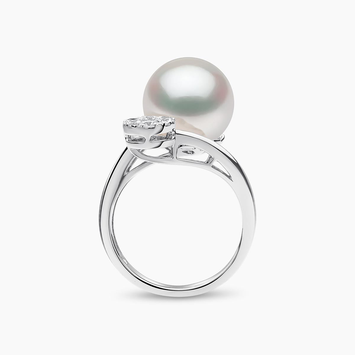 White Gold / White Australian South Sea