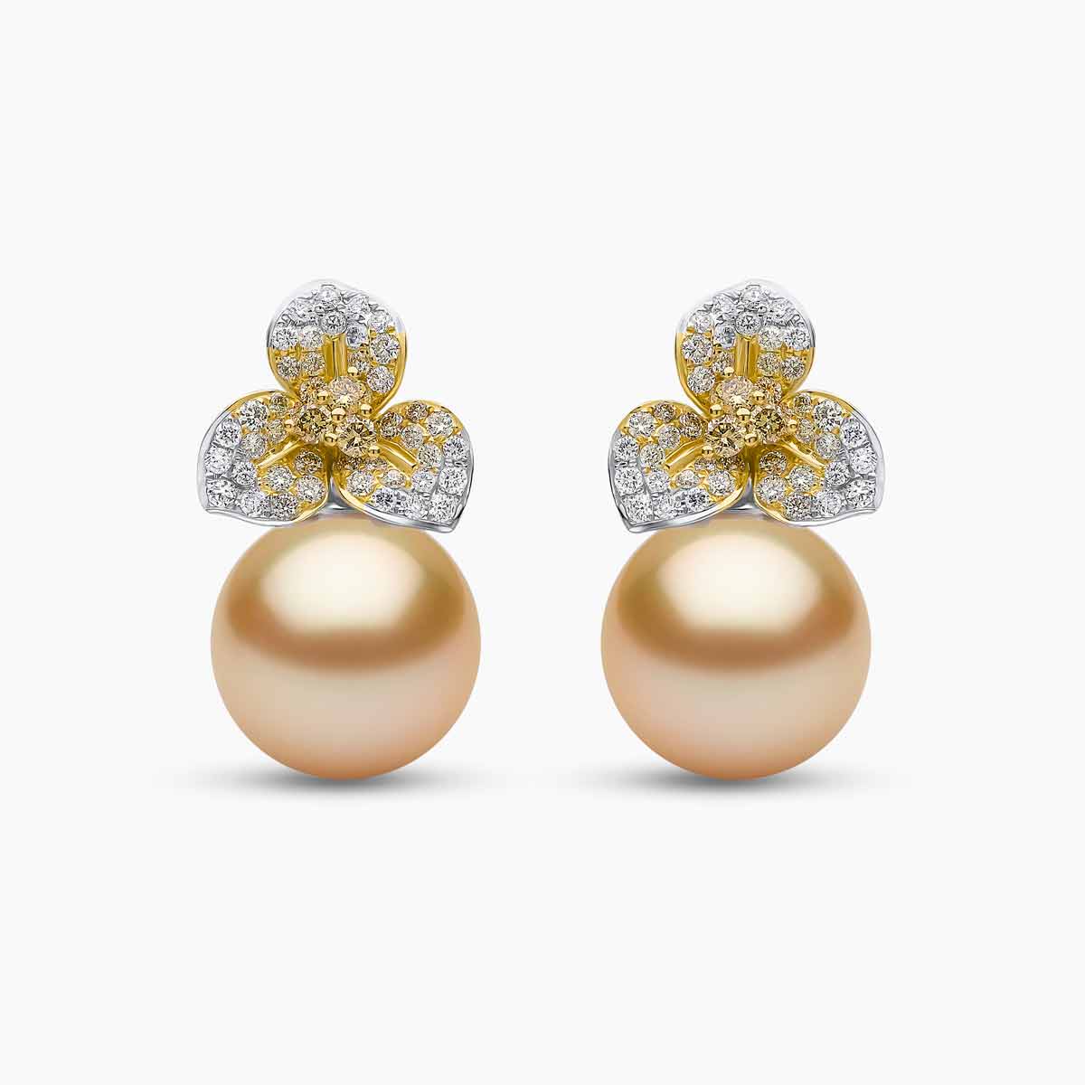 White Gold / Golden Indonesian South Sea