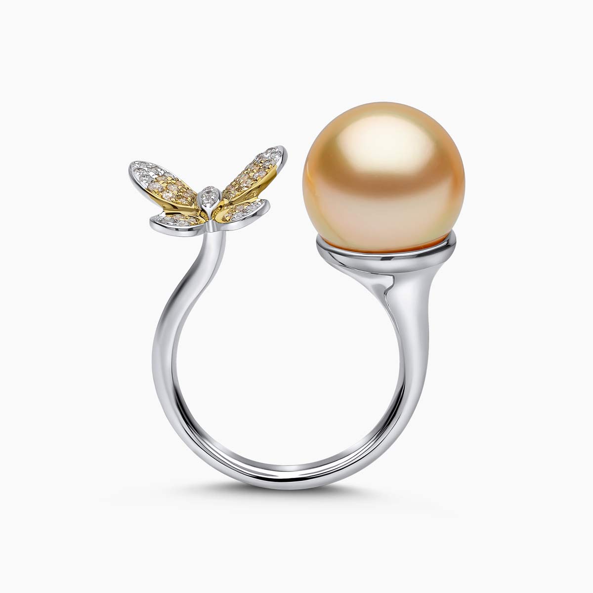 White Gold / Golden Indonesian South Sea