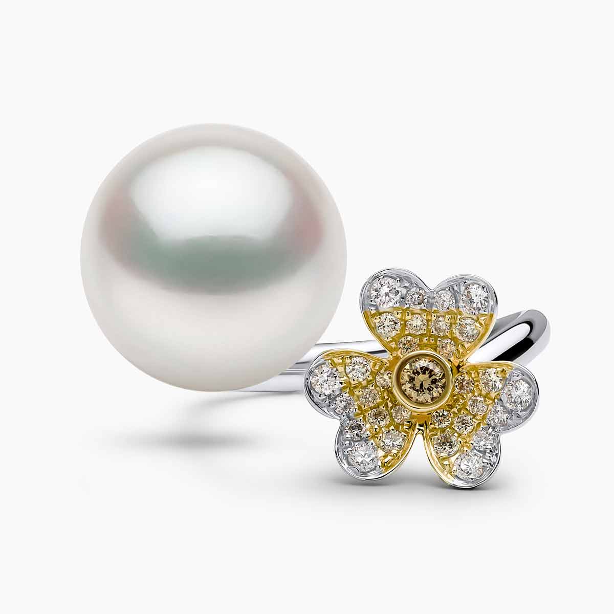 White Gold / White Australian South Sea