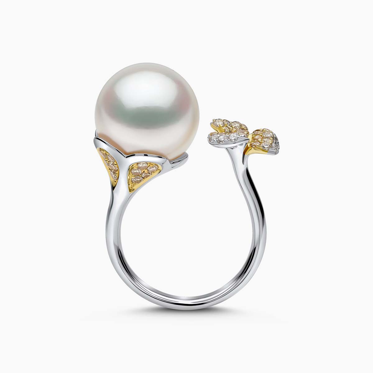 White Gold / White Australian South Sea